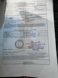 фітосанітарний сертифікат при замитнені вантажу